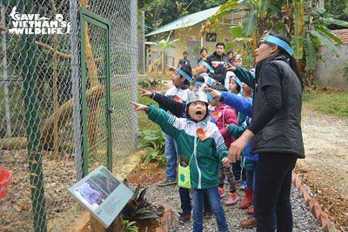 Children from Cuc Phuong Primary School learning about Binturongs with Save Vietnam’s Wildlife’s Lan Thi Kim Ho. - Photo: Save Vietnam's Wildlife