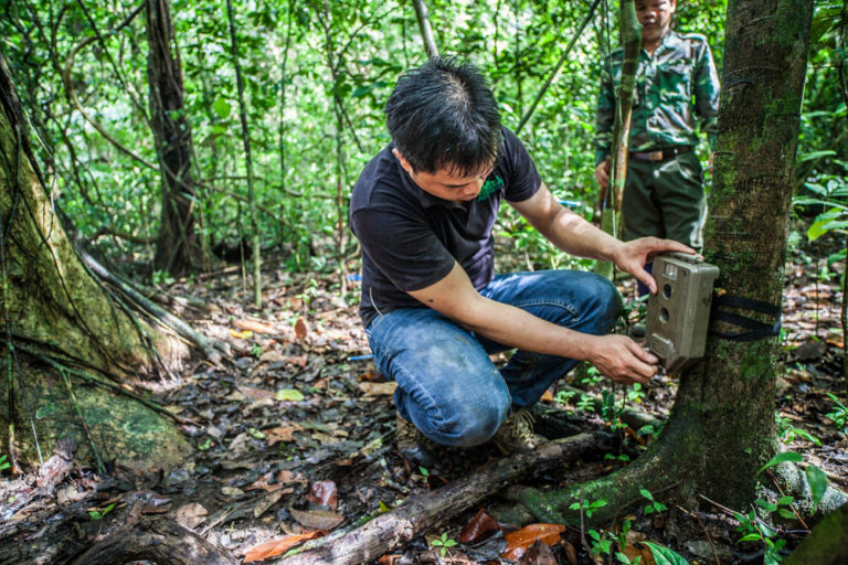 thai camera trap small 4im donate