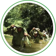 Nguyễn Văn Thái 4 Asset