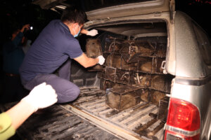 Tăng cường rà soát, kiểm tra và xử lý các hành vi nuôi nhốt, tàng trữ trái pháp luật các loài động vật hoang dã tại Việt Nam