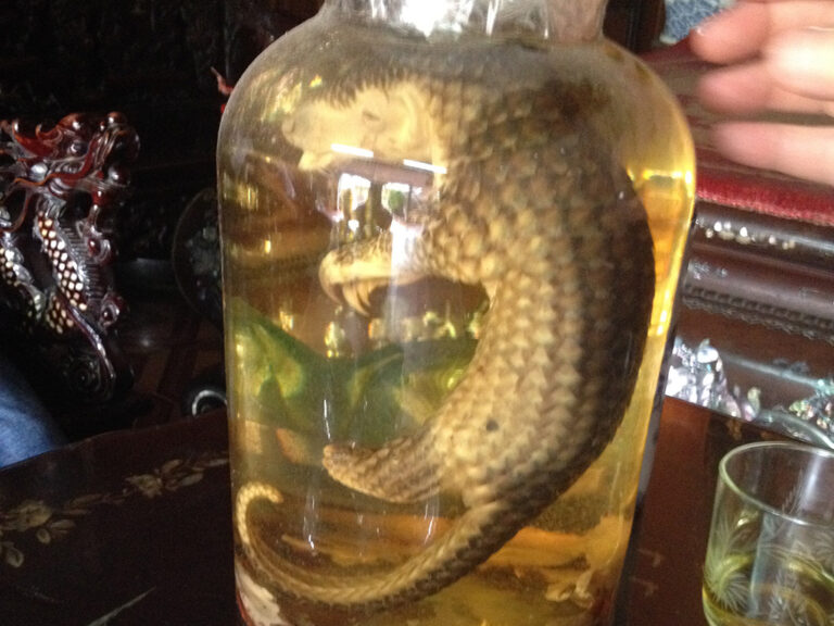 Pangolin wine