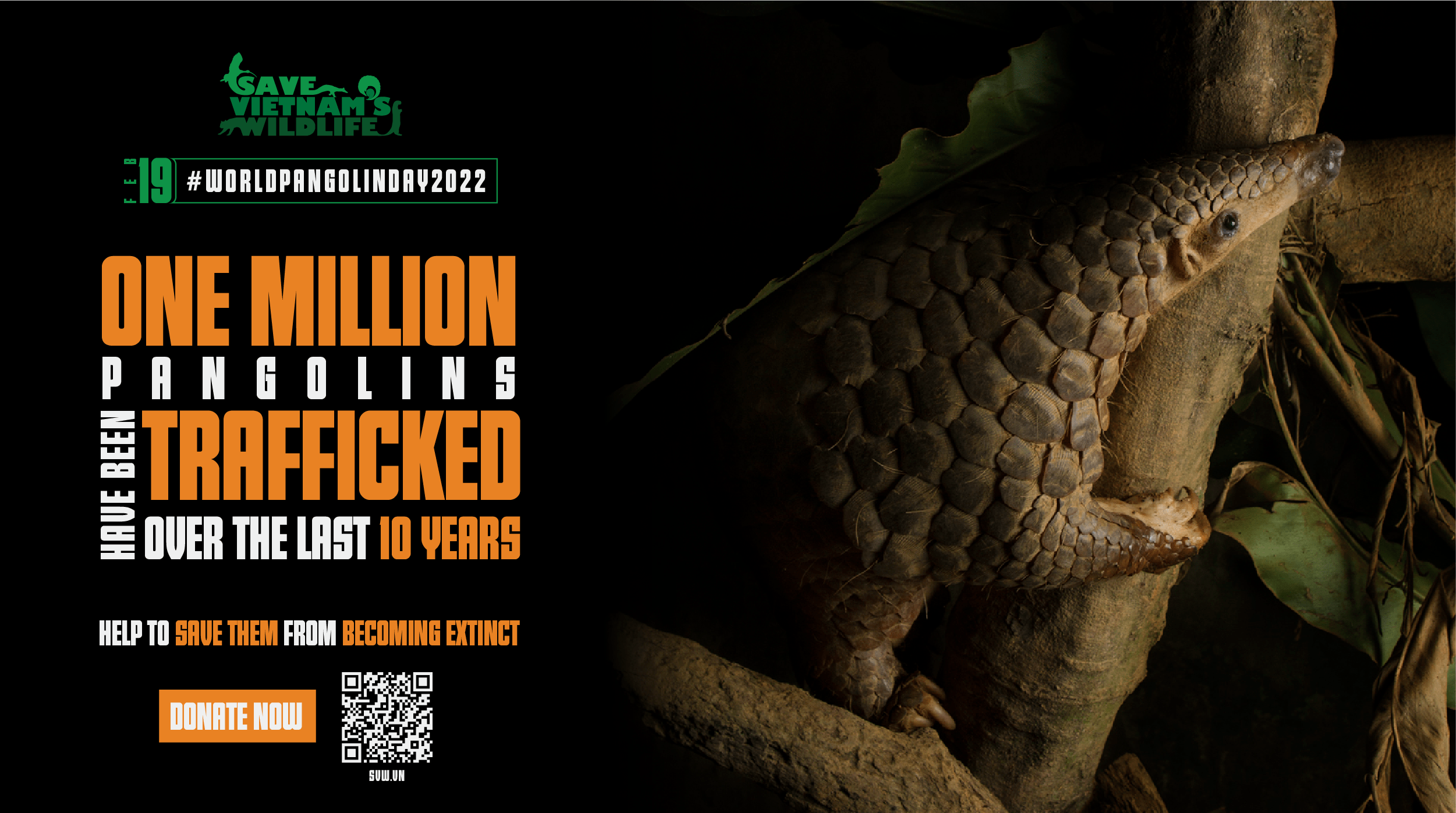 Happy World Pangolin Day 2022 1 SVW_WorldPangolinDay