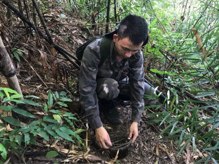 Read more about the article SVW Tuyển Dụng 02 Cán bộ Chuyên trách Bảo vệ rừng