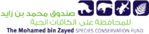 the mohamed bin zayed species conservation fund 1