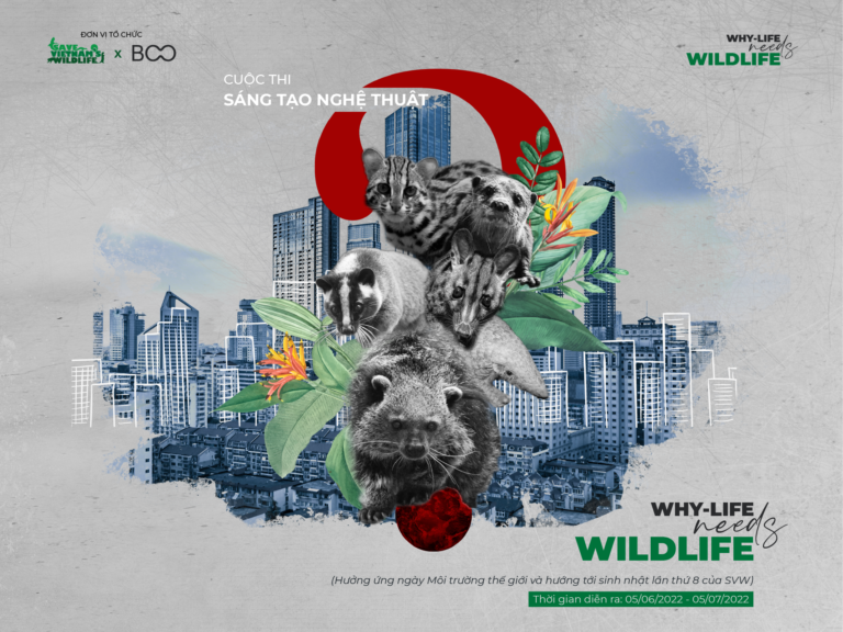 Read more about the article SVW khởi động cuộc thi sáng tạo nghệ thuật “Why-life needs wildlife”?