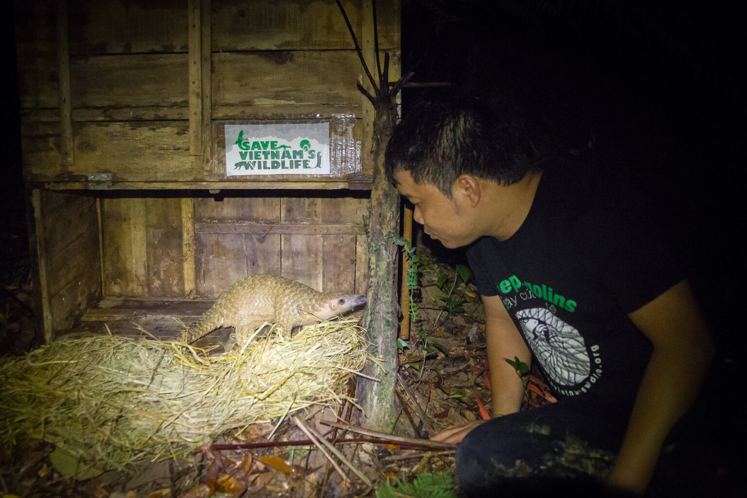 Director Thai releases pangolin @SVW@Peter Yuen