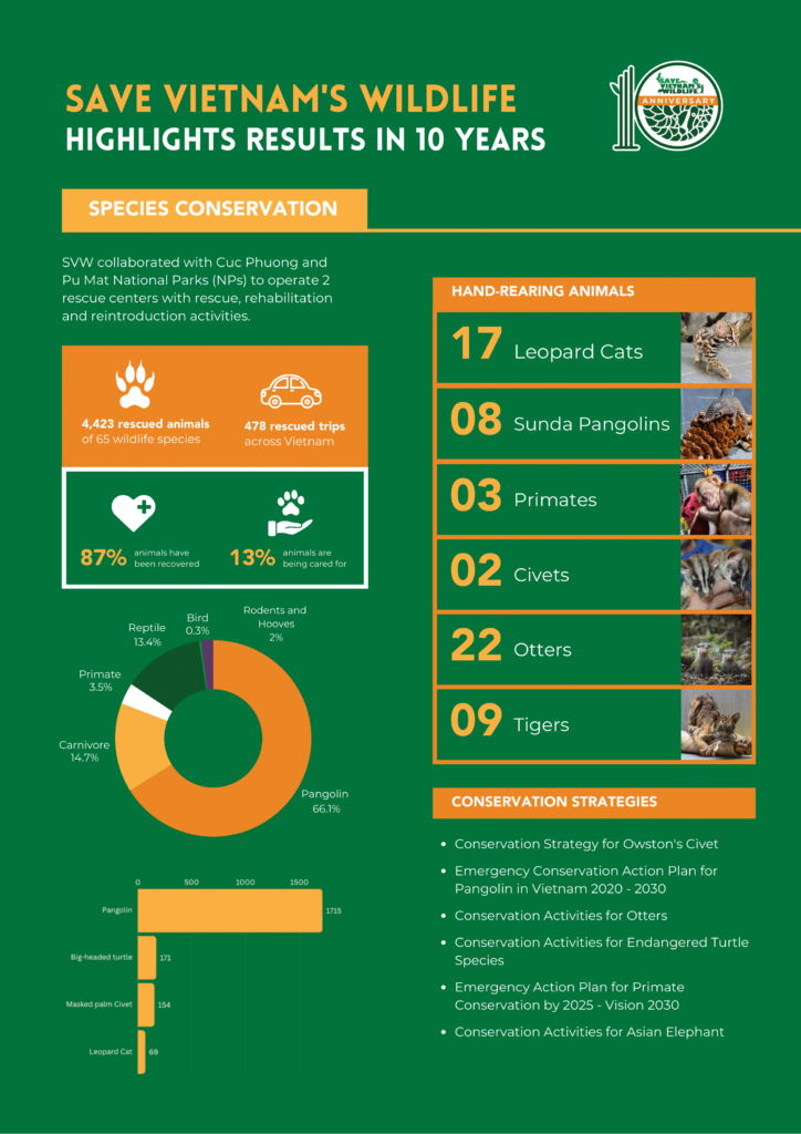 SVW 6mths report 1