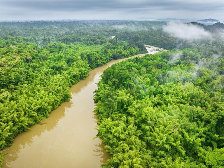 Read more about the article Cat Tien National Park – The second site to join  the IUCN Green List