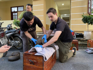 Successful rescue of 11 pangolins from illegal transportation and trading