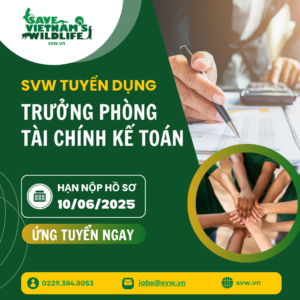 Read more about the article SVW Tuyển dụng vị trí: Trưởng Phòng Tài Chính Kế Toán.