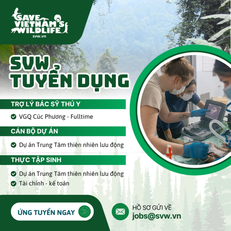 Read more about the article SVW Tuyển dụng vị trí: Cán bộ dự án.
