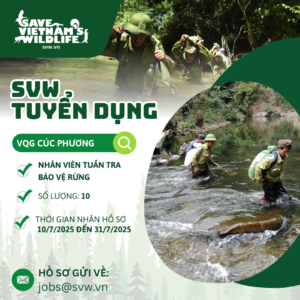 Read more about the article SVW Tuyển dụng vị trí: Nhân viên tuần tra, bảo vệ rừng.