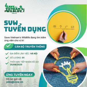 Read more about the article SVW Tuyển dụng vị trí: Cán bộ Truyền thông.