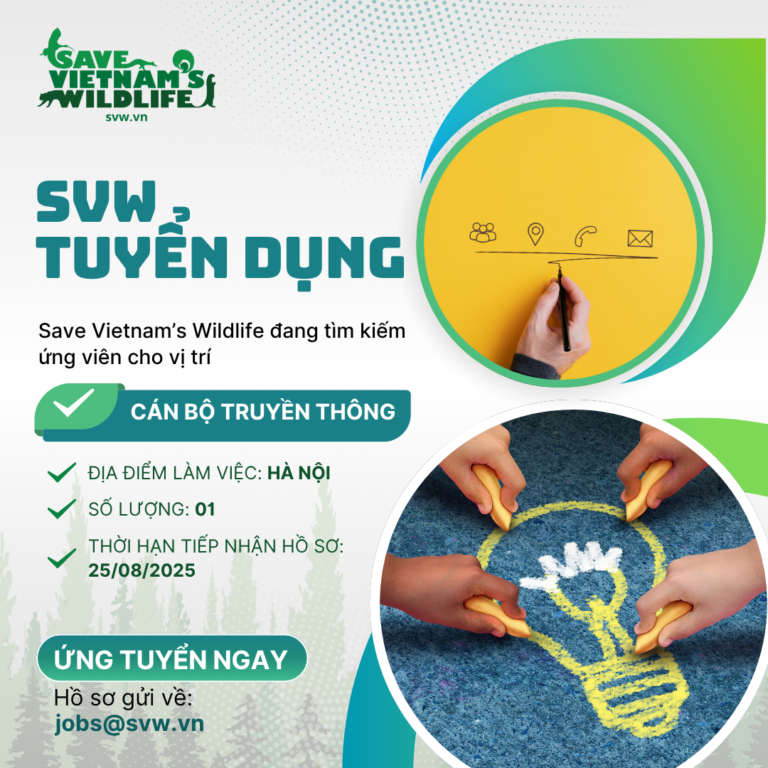 Read more about the article SVW Tuyển dụng vị trí: Cán bộ Truyền thông.