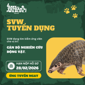 Read more about the article SVW Tuyển dụng vị trí: Cán bộ Nghiên cứu Động vật.