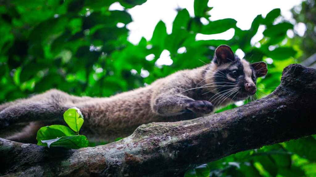 Bảo trợ Hoà 4 z7097298926472_ab5954a896ea2010593b7be2dd2e2656