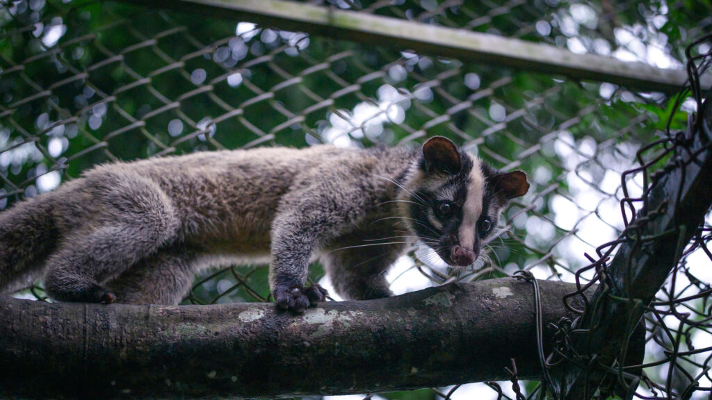 Bảo trợ Hoà 5 z7097298928746_a6f7d1d4424ba4fe0d694f1ea1b48ca5