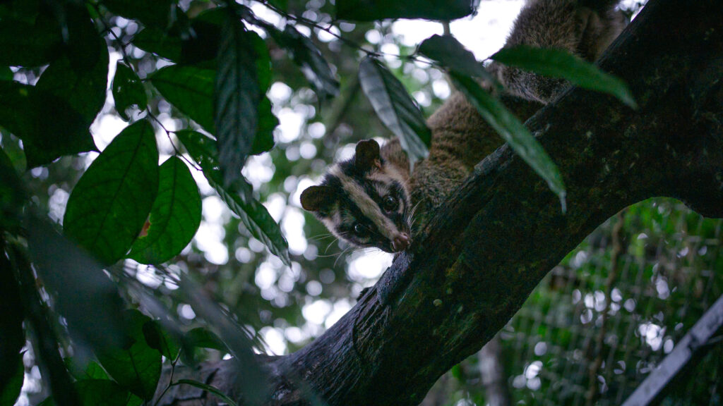 Bảo trợ Hoà 6 z7097298931428_bc92c7d9328cfe13cc70c0c25d9f3dbd