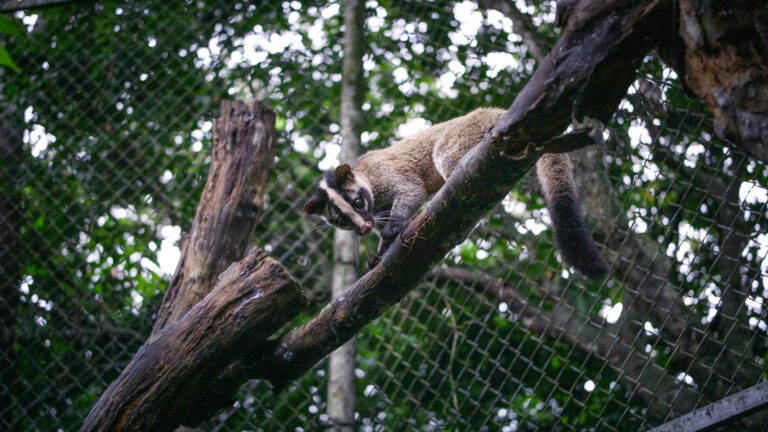 z7097298995595 8433ca0cc4535f6fc1760cc7b9b2c6b8