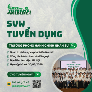 Read more about the article SVW Tuyển dụng vị trí: Trưởng phòng Hành chính nhân sự