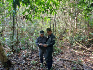 Read more about the article SVW tuyển dụng: Nhân viên bảo vệ rừng tại VQG Cúc Phương