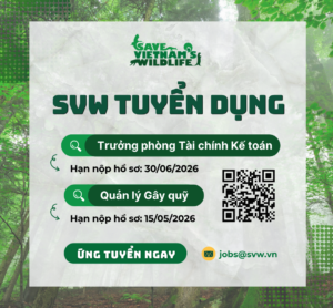 SVW TUYỂN DỤNG: TRƯỞNG PHÒNG TÀI CHÍNH KẾ TOÁN