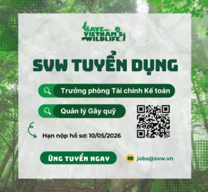 SVW TUYỂN DỤNG: TRƯỞNG PHÒNG TÀI CHÍNH KẾ TOÁN