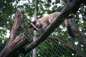 z7097298995595 8433ca0cc4535f6fc1760cc7b9b2c6b8