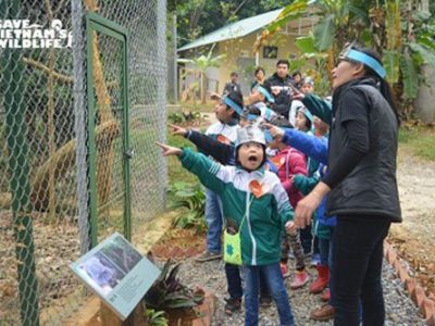 Children from Cuc Phuong Primary School learning about Binturongs with Save Vietnam’s Wildlife’s Lan Thi Kim Ho. - Photo: Save Vietnam's Wildlife