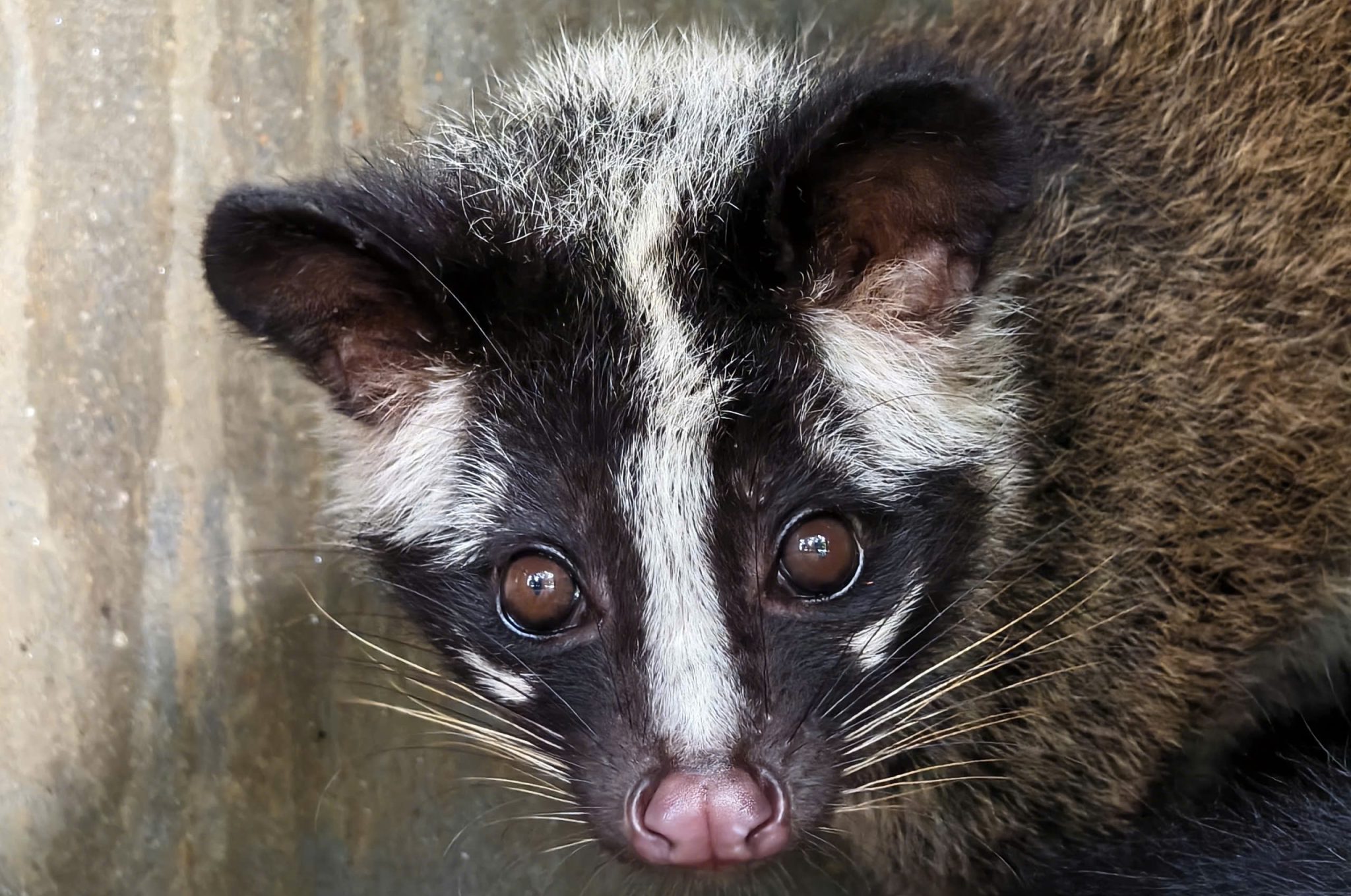 z7052755884669_84fca8a3061d636ab2a32572c6a0fc94 z7052755884669_84fca8a3061d636ab2a32572c6a0fc94