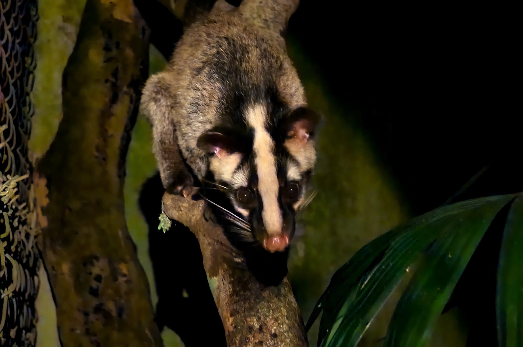 z7072595223740_d8bdb4bec064374bc46d1f7dfaf8b894 z7072595223740_d8bdb4bec064374bc46d1f7dfaf8b894